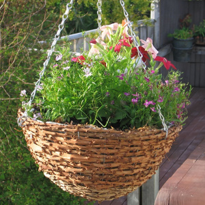basket_on_balcony_100mm_583368439_982569034