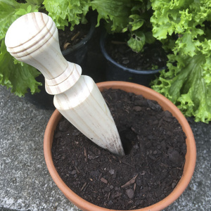 dibbler_in_pot_2020_1557512845