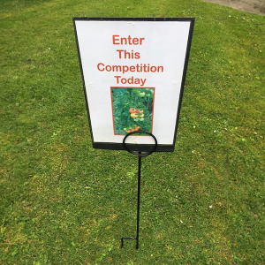 img_0005_copy_1838274165