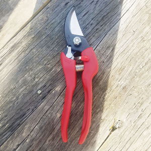 secatears_1335611539