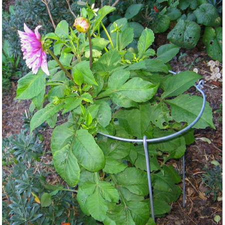 -img_0176_2_1788880655