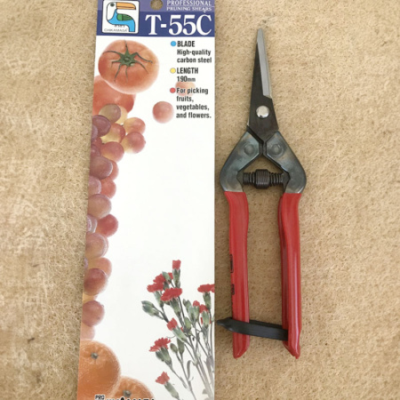 chik-t-55_studio_1248999083