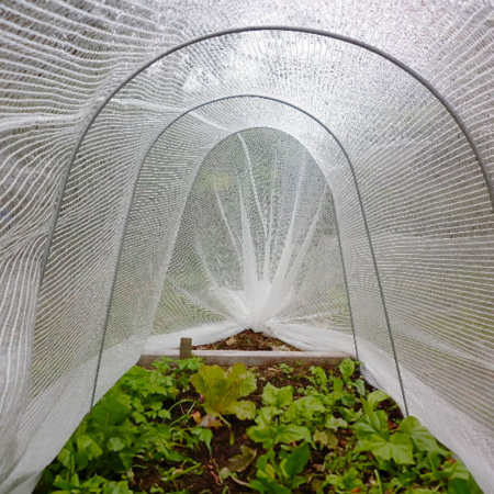 jumbo_cloche_kit_451215308