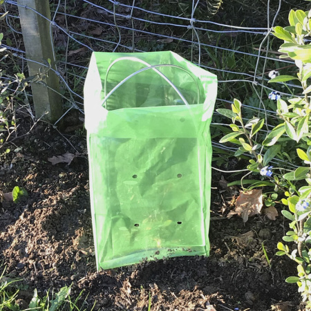 seedling_shelter_1399411368