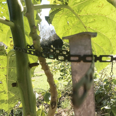 tree_tie_chain1_1282219146